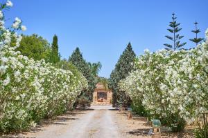 Finca Banc DOli