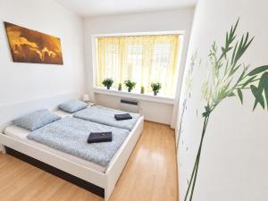 Apartment Hana