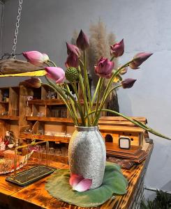 Wood Haven Homestay