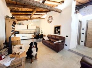 LE SCUDERIE di Casa Bernardi, Wellness Retreat con Sauna in camera & amici a 4 zampe