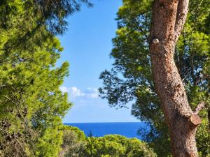 My little House in Moraira