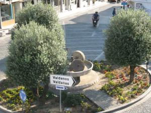 Apartments Circle Olive