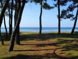 Green House - Grigoleti