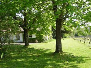 Maisons de vacances Chateau Ysard : photos des chambres