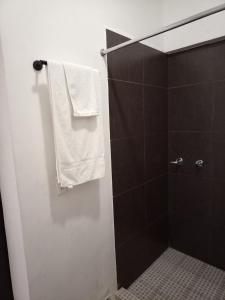 DGM Lofts MTY MN 960 B centro cerca de todo