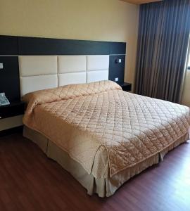 Hotel Eurocaribe internacional