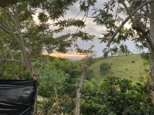Glamping 930 la divisa