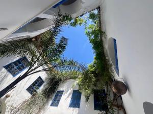 Riad Chameleon