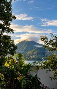 Volcano Nest Lakefront House