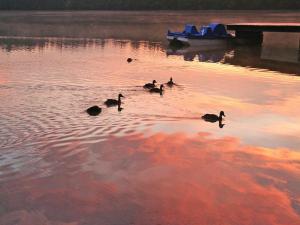 A wonderful holiday home with lake access