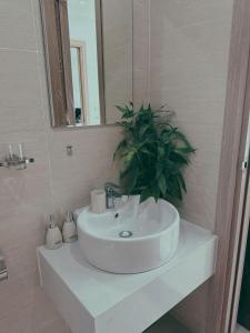 Căn hộ Studio 1 phòng ngủ Nera Garden