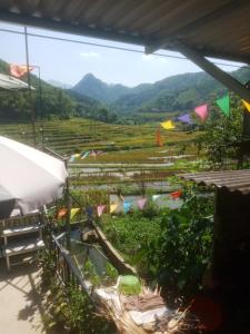 Homestay nhà sàn quán