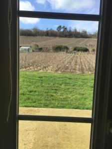 Côté Vignes photo 24