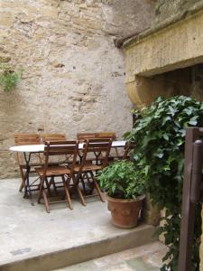 Bize de la Tour photo 12