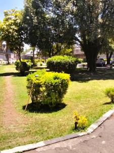 Myrrh Homestay