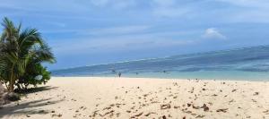 OceanLaVie Beach House