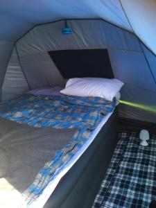 Blue Palm Camp Watamu