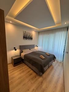 Luxury Apartment