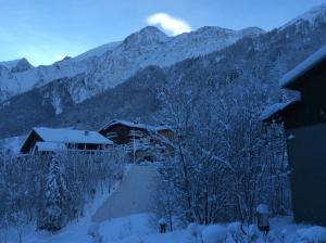 Appartements Facing the Chamonix Needles : Appartement avec Vue sur la Montagne