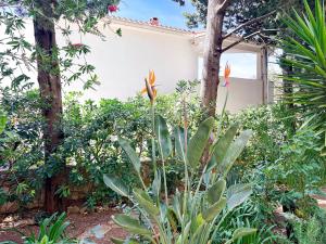 Apartments Perica