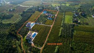 Aneli Luxury Villas - Villa Alexandra with Heated Pool