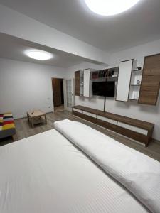 Studio Arena Nationala Free Parking