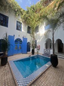 Riad Chameleon