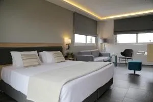 巴尔米拉海滩酒店 - 阿纳维索斯