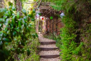 Elf Garden
