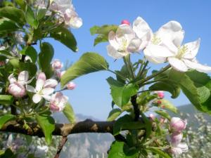 Agritur Sandro