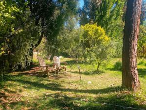 Casa La paz junto al río