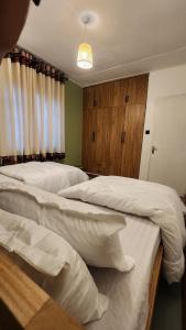 Baiskeli Experience Haus