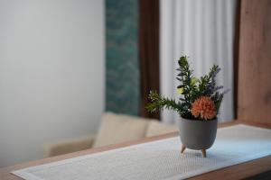 Apartman Porta 107