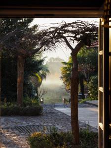 Quinta da Pereirinha