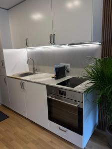 Algirdo SMART studio