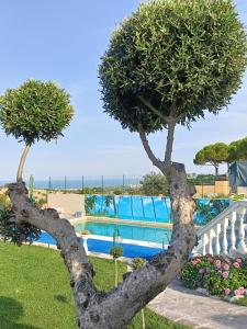 Comfort&Relax B&B&Spa