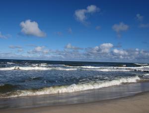 Apartament w Zielonym Domu