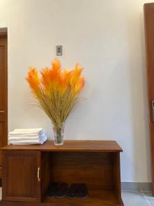 Sun Terra Hotel