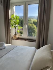 Sowia Kryjówka apartament z sauną