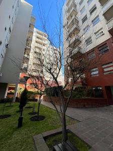 Lovely apartment in the coolest location of Bs As