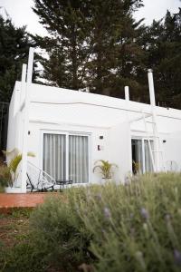 Suite Amboró Samaipata Glamping