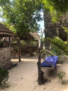 New Orange Restaurant & Villa