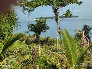 turtles place -Chays Bungalow
