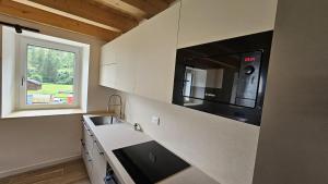 Dolomites, new apartment in Comelico