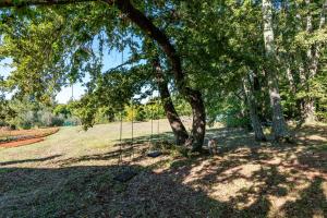 Apartment Manjadvorci 7445a