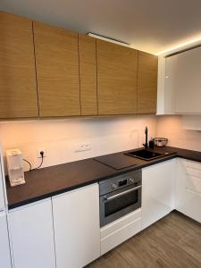 Kaunas Suburb Apartment with Terrace and Parking