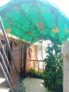Homestay Nhà Muộii