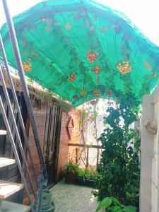 Homestay Nhà Muộii