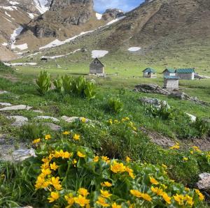 Korabi Mountain Camping