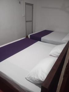 GOLD NIGHT resort